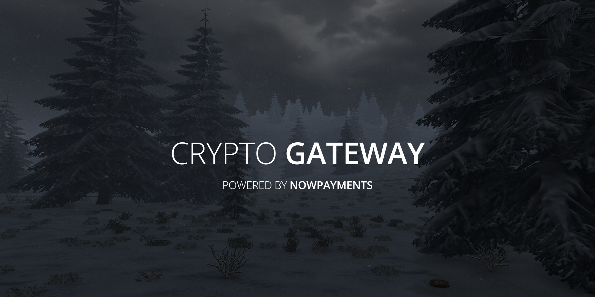 New crypto gateway added!